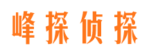 梅里斯寻人公司